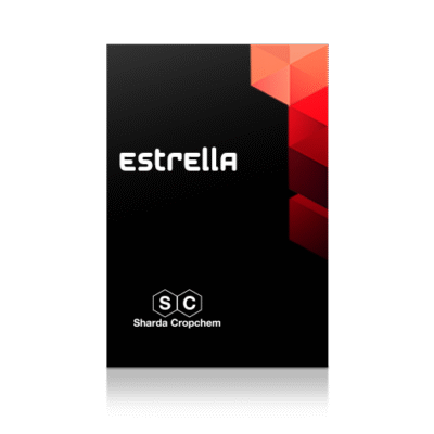 ESTRELLA 80GR