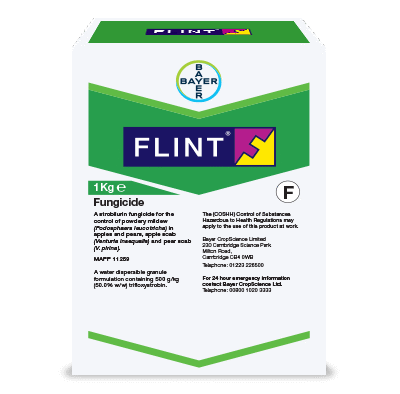 FLINT 300GR