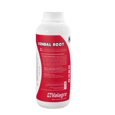 KENDAL ROOT 1L