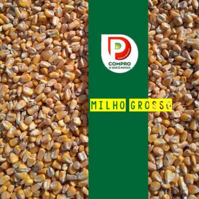 MILHO GROSSO GRANEL TON