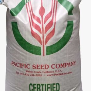 Sorgo - PIPER 25KG